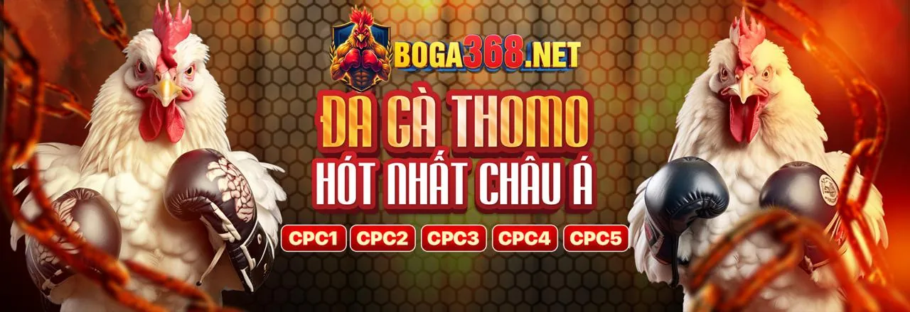 Đá gà trực tuyến kịch tính tại wwin chính thức